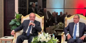 وزير الخارجية: الدولة تولي أقصى درجات الاهتمام والعناية بالجاليات المصرية في مختلف دول العالم