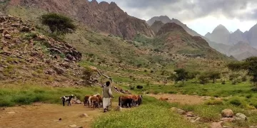 «جبل علبة» .. متحف مفتوح للآثار