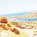 «المنصورى».. مدير منطقة وادى النيل بالفيوم لـ «الجمهورية»: بحيرة قارون.. مستقبل واعد فى الثروة السمكية 6 - جريدة الجمهورية IMG 20240901 WA0026 - جريدة الجمهورية