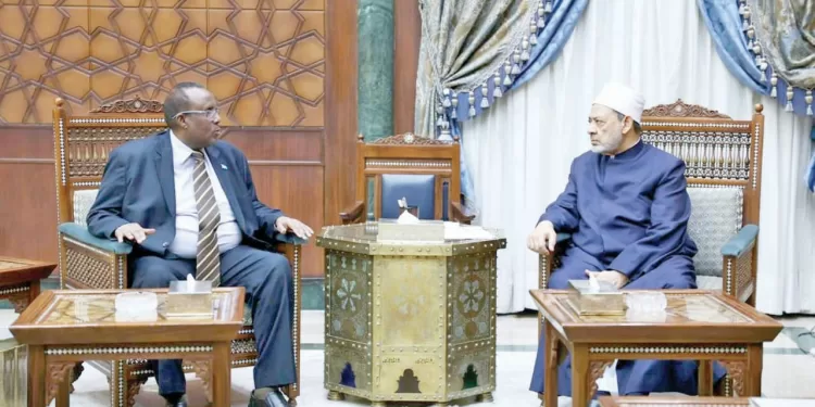 الإمام الأكبر بحث مع السفير على عبدى أوراى تعزيز الدعم الدعوى والتعليمى للصومال 1 - جريدة الجمهورية التلبك السلوكى والمعجنات الثقافية