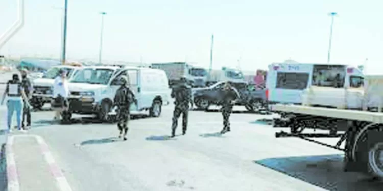 قبل لقائه بوتسوانا .. إحلال وتجديد فى تشكيلة «الفراعنة»