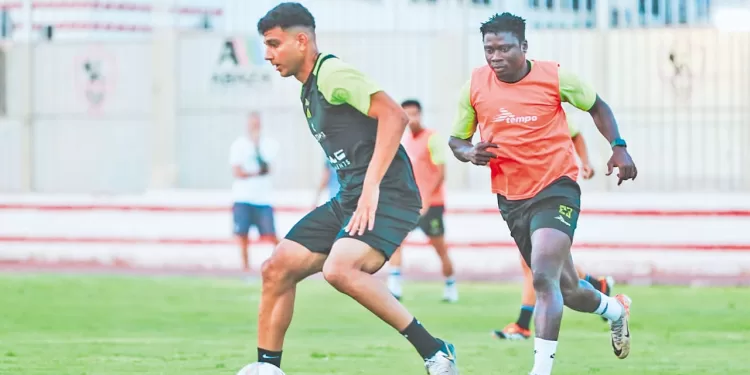 عملاقان أوروبيان يخططان لخطف «الفيرارى»