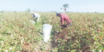 نوتينجهام يسقط ليفربول ..وخسارة نيس أمام مارسيليا