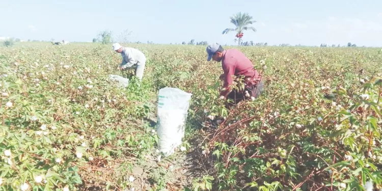 نوتينجهام يسقط ليفربول ..وخسارة نيس أمام مارسيليا