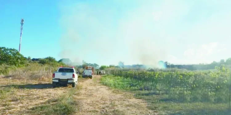 مكافآت فورية لنجوم الزمالك