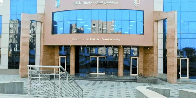 مكافآت فورية لنجوم الزمالك