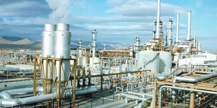 دعم صناعة الأسمدة 1 - جريدة الجمهورية القمة تشغل «القطبين»