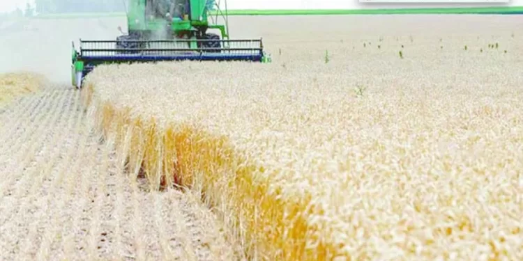 د.زكريا حمزة لـ”الجمهورية”.. تغيير آليات التداول فى البورصة السلعية