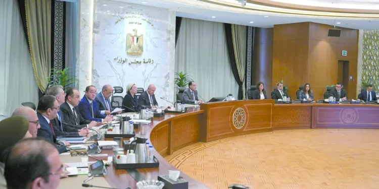 العمل على توفير احتياجات السوق المحلى وتعزيز الصادرات