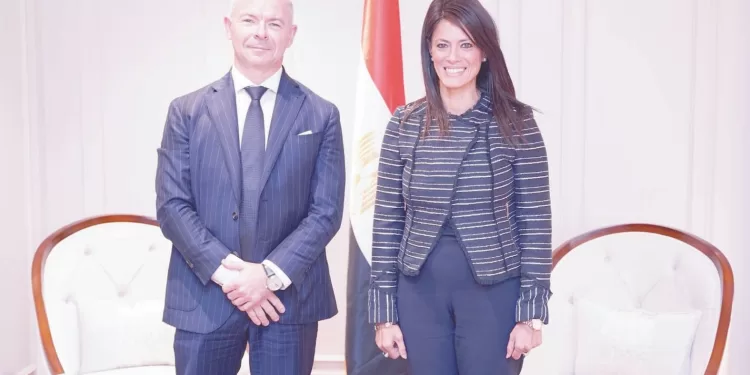 المشاط: تمكين القطاع الخاص وتطوير البيئة الاستثمارية.. أولوية