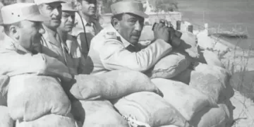 مصر..  البندقية وغصن الزيتون