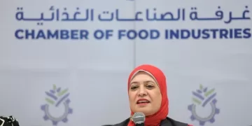 رئيس المشروع القومي لتطوير الأرز: 1.7 مليون فدان تنتج 7 ملايين طن.. الإنتاج يسجل رقمًا قياسيًا