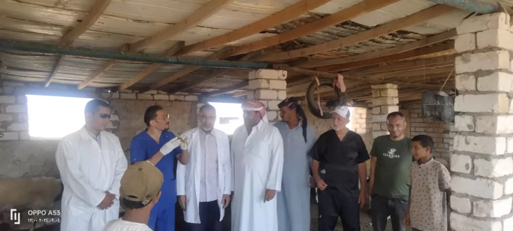 قوافل الشفاء: رحلة في أعماق الريف المصري لإنقاذ الثروة الحيوانية 11 - جريدة الجمهورية WhatsApp Image 2024 09 07 at 5.06.26 PM 2 - جريدة الجمهورية