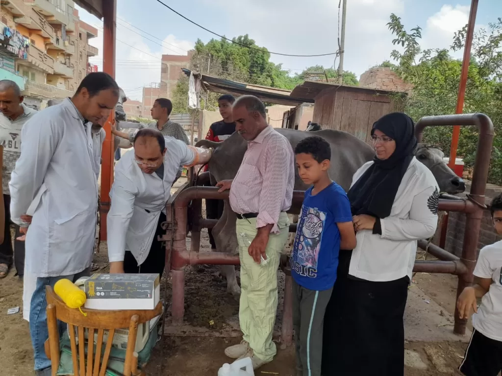 قوافل الشفاء: رحلة في أعماق الريف المصري لإنقاذ الثروة الحيوانية 5 - جريدة الجمهورية WhatsApp Image 2024 09 07 at 5.06.27 PM 1 - جريدة الجمهورية