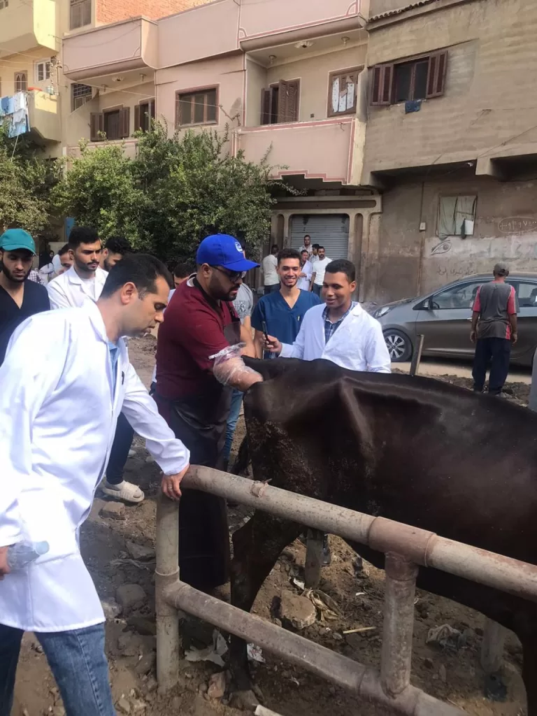 قوافل الشفاء: رحلة في أعماق الريف المصري لإنقاذ الثروة الحيوانية 4 - جريدة الجمهورية WhatsApp Image 2024 09 07 at 5.06.27 PM 2 - جريدة الجمهورية