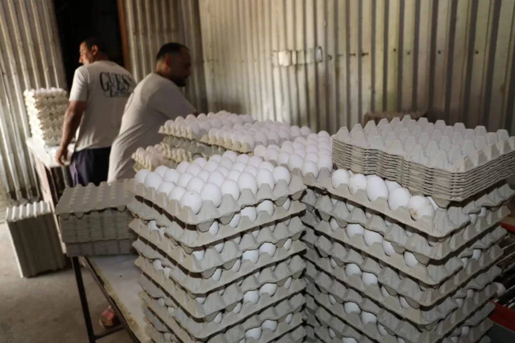 وزير الزراعة يُعلن عن حزمة جديدة من الدعم والخدمات للفلاحين 15 - جريدة الجمهورية WhatsApp Image 2024 09 09 at 4.02.58 PM 3 - جريدة الجمهورية