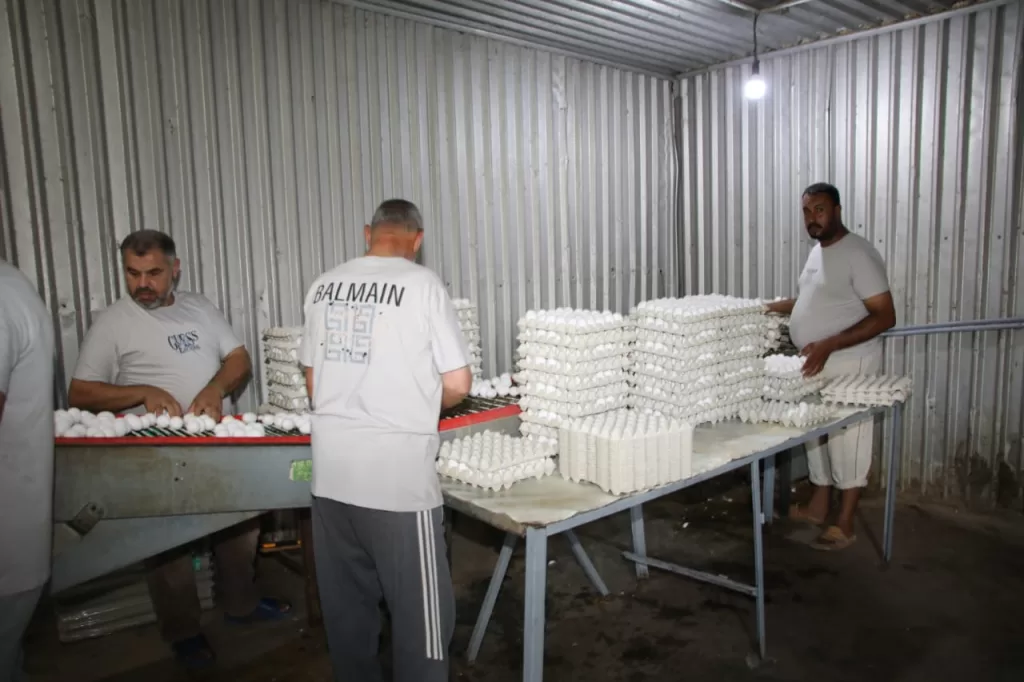 وزير الزراعة يُعلن عن حزمة جديدة من الدعم والخدمات للفلاحين 14 - جريدة الجمهورية WhatsApp Image 2024 09 09 at 4.03.00 PM 1 - جريدة الجمهورية