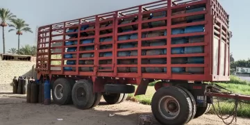 حملات تموينية مكثفة تخفف العبء عن كاهل المواطنين بالدقهلية