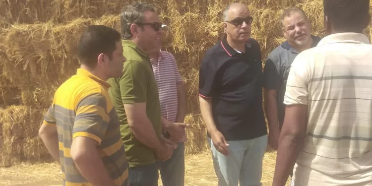 جهود مكثفة لجمع وتدوير 20 ألف طن من قش الأرز بالشرقية