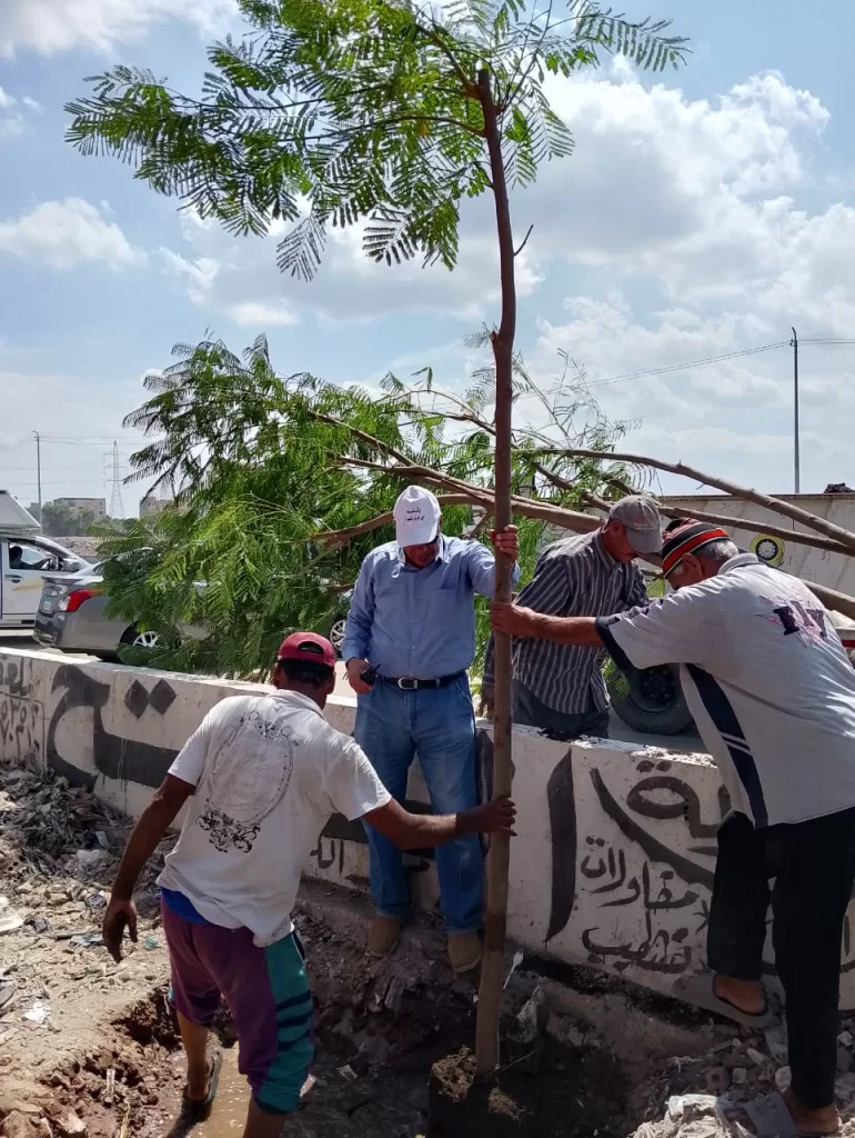 الدقهلية: حملة تطوير شاملة للطريق الدائري بالمنصورة 17 - جريدة الجمهورية WhatsApp Image 2024 09 21 at 5.44.08 PM - جريدة الجمهورية