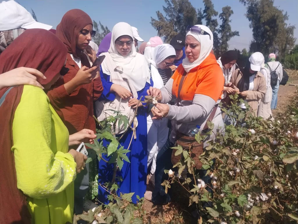 معهد بحوث وقاية النباتات يختتم برامج تدريب صيفي مكثفة لطلبة الجامعات 8 | جريدة الجمهورية