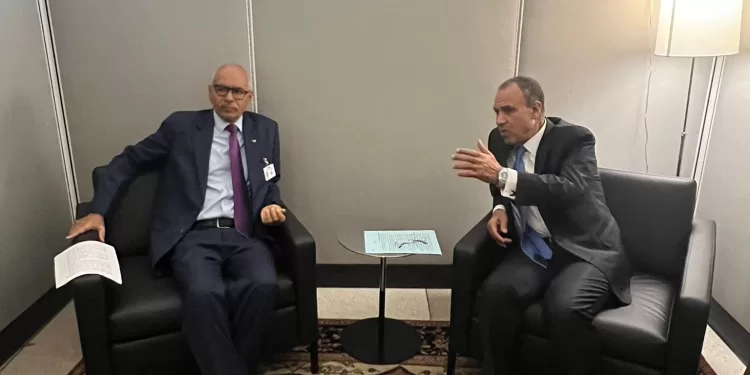 وزير الخارجية يؤكد دعم مصر لحل الدولتين ورفضها لتهجير الفلسطينيين 1 - جريدة الجمهورية وزير الخارجية يؤكد دعم مصر لحل الدولتين ورفضها لتهجير الفلسطينيين