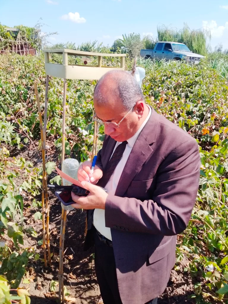 زراعة البحيرة تضع خطة متكاملة لمتابعة وتحسين إنتاجية القطن 2 - جريدة الجمهورية WhatsApp Image 2024 09 24 at 12.46.07 PM - جريدة الجمهورية