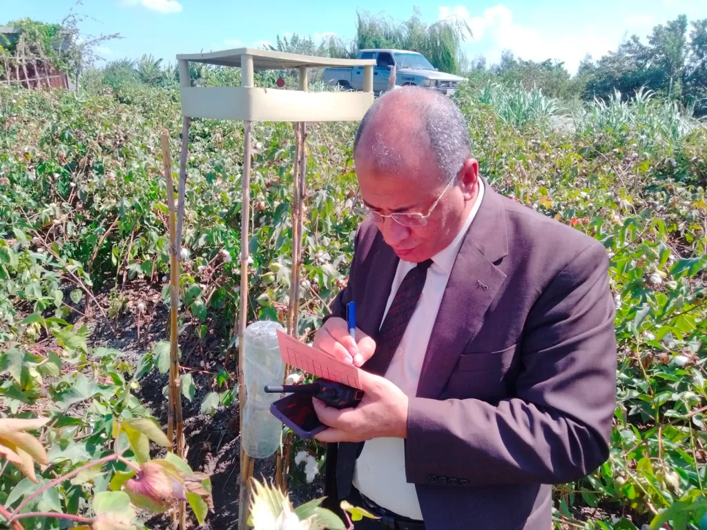 زراعة البحيرة تضع خطة متكاملة لمتابعة وتحسين إنتاجية القطن 4 - جريدة الجمهورية WhatsApp Image 2024 09 24 at 12.46.10 PM - جريدة الجمهورية