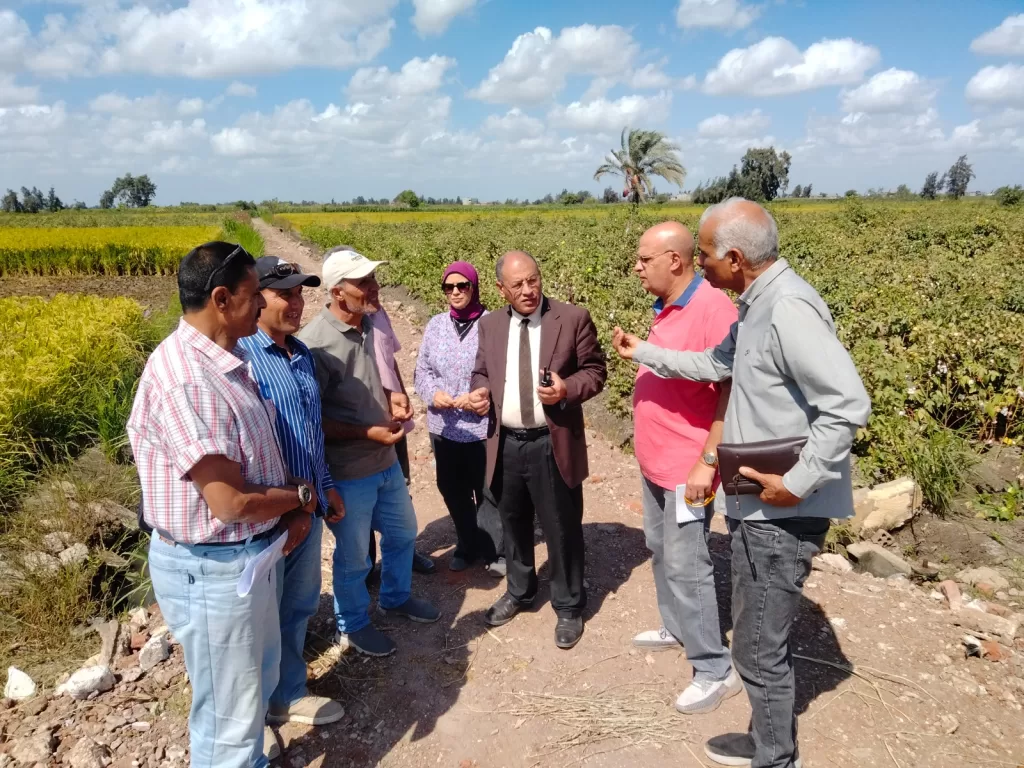 زراعة البحيرة تضع خطة متكاملة لمتابعة وتحسين إنتاجية القطن 11 - جريدة الجمهورية WhatsApp Image 2024 09 24 at 12.46.50 PM 1 - جريدة الجمهورية