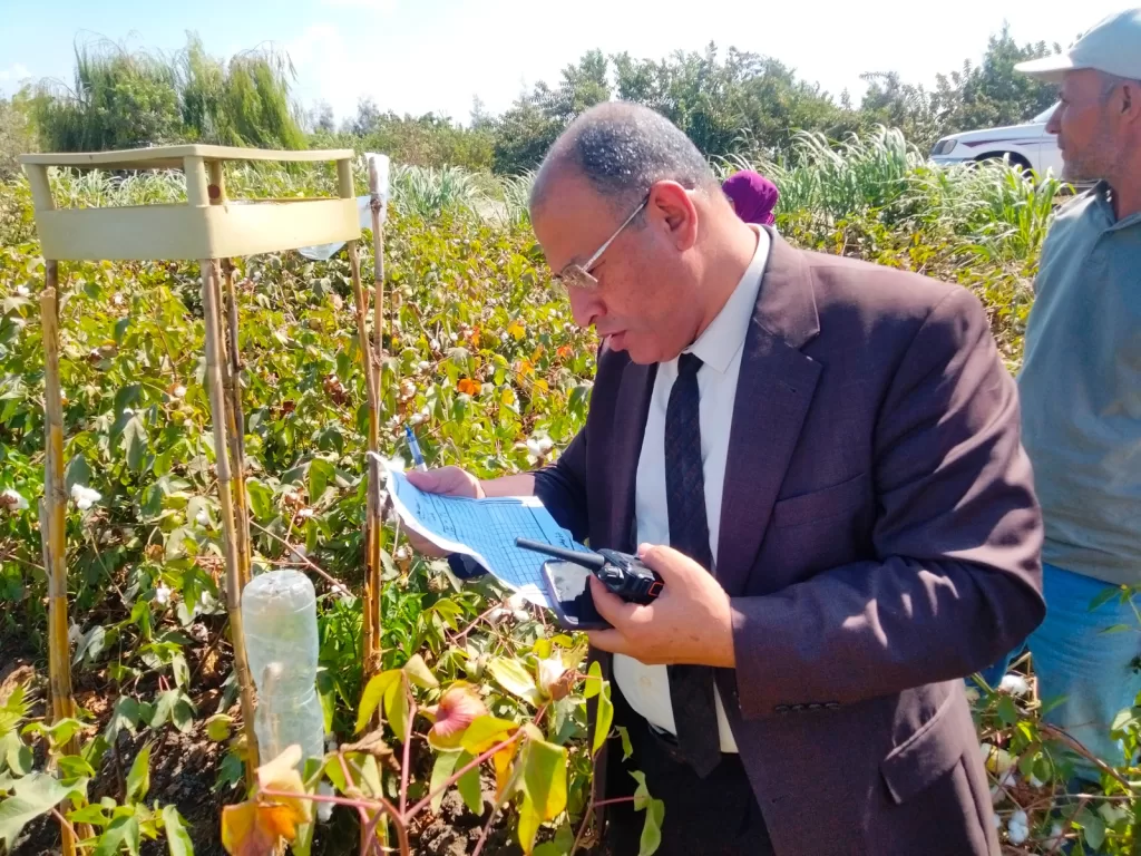 زراعة البحيرة تضع خطة متكاملة لمتابعة وتحسين إنتاجية القطن 14 - جريدة الجمهورية WhatsApp Image 2024 09 24 at 12.46.51 PM 2 - جريدة الجمهورية