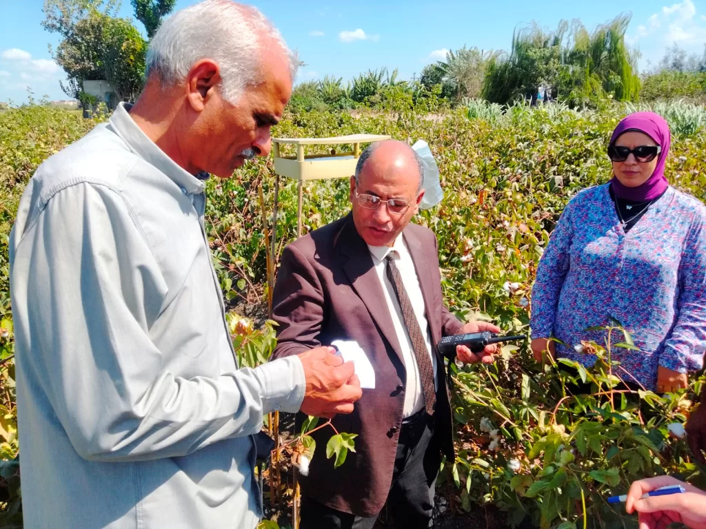 زراعة البحيرة تضع خطة متكاملة لمتابعة وتحسين إنتاجية القطن 15 - جريدة الجمهورية WhatsApp Image 2024 09 24 at 12.46.51 PM 3 - جريدة الجمهورية