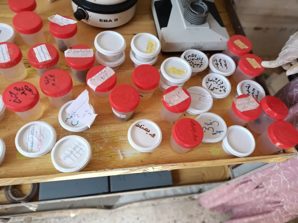 صحة الطلاب أولوية.. حملة مكثفة للكشف عن البلهارسيا بالدقهلية 4 - جريدة الجمهورية WhatsApp Image 2024 09 29 at 12.48.06 PM 2 - جريدة الجمهورية