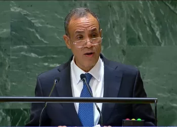 وزير الخارجية: العدوان الإسرائيلي على غزة وصمة عار على جبين المجتمع الدولي