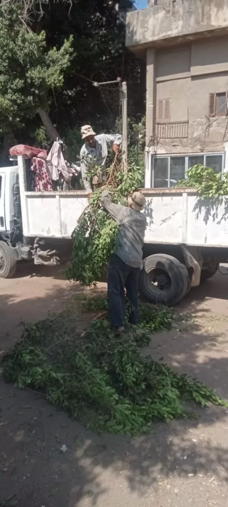 صوت المواطن مسموع: «العجوزة» تستجيب وتقلم أشجارًا متهالكة لحماية المارة 4 - جريدة الجمهورية WhatsApp Image 2024 09 30 at 5.49.44 PM 1 - جريدة الجمهورية