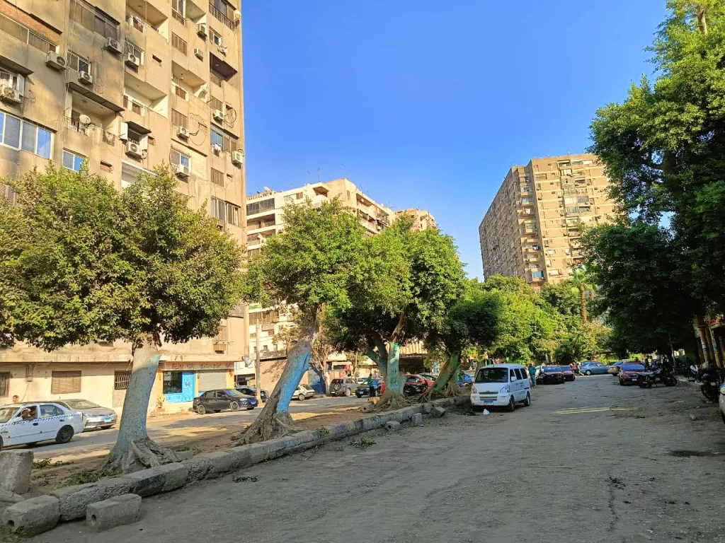 صوت المواطن مسموع: «العجوزة» تستجيب وتقلم أشجارًا متهالكة لحماية المارة 13 - جريدة الجمهورية WhatsApp Image 2024 09 30 at 5.51.49 PM 2 - جريدة الجمهورية