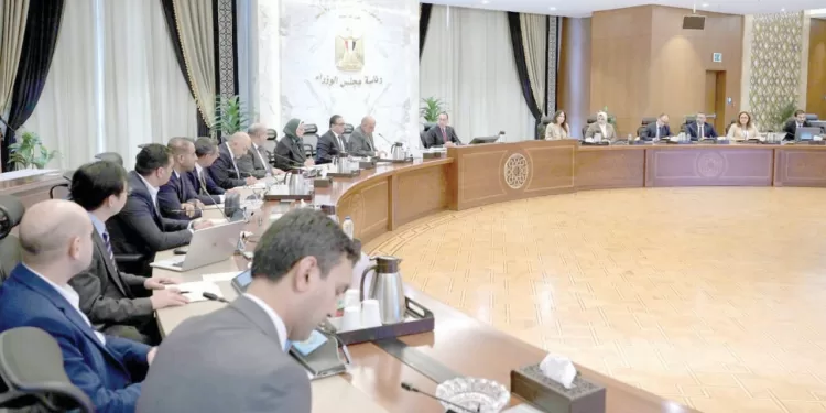 حوافز وتيسيرات كثيرة : مدبولى يناقش مع وفد «فورتيسكيو العالمية» مشروعات الطاقة الجديدة