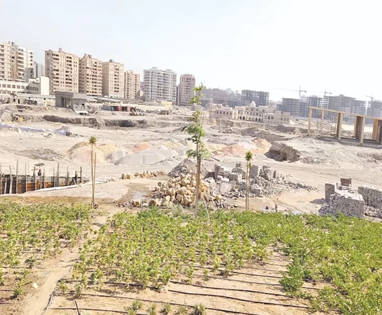 حدائق تلال الفسطاط.. قلب القاهرة الأخضر 2 - جريدة الجمهورية IMG 20241001 WA0003 jpg - جريدة الجمهورية