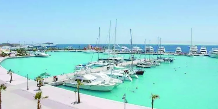 البحر الأحمر .. موسم شتوى كامل العدد 1 - جريدة الجمهورية الإسماعيلى «حيران»