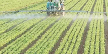 مرموش يتحدى كين