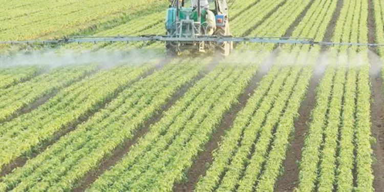 مرموش يتحدى كين