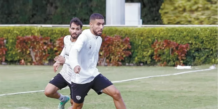 القندوسى للبيع