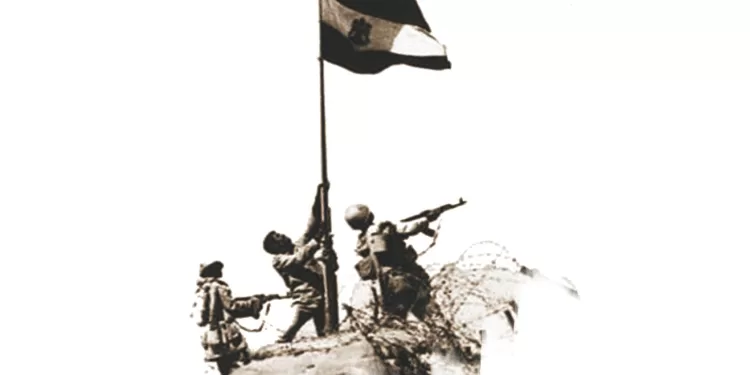 القندوسى للبيع