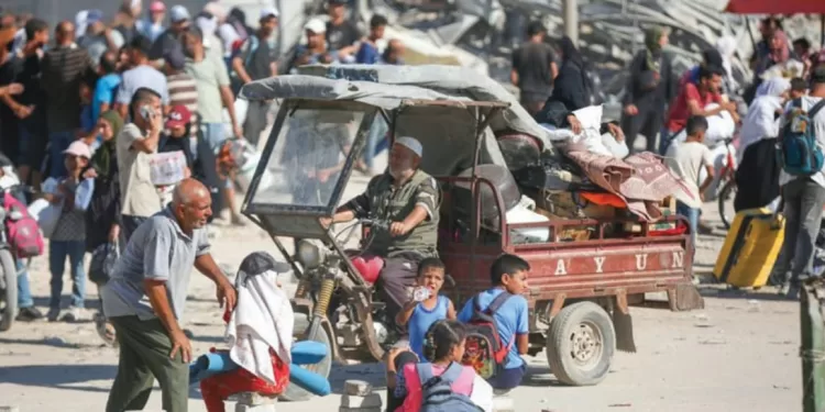 جماهير المصرى تترقب ملاعب الدورى