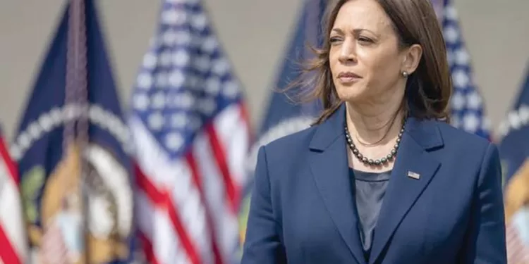 جماهير المصرى تترقب ملاعب الدورى