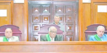 «قرصة ودن» لـ «شلبى»