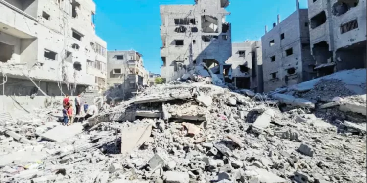 «قرصة ودن» لـ «شلبى»