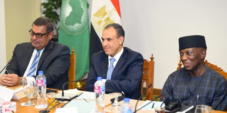 وزير الخارجية: مصر تعمل بكل جهد على تعزيز منظومة الأمن والاستقرار الجماعي بالقارة الإفريقية