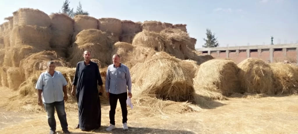 مزارع كفر الشيخ تبتكر: ندوات تسلط الضوء على ابتكارات المزارعين في الاستفادة من قش الأرز 2 - جريدة الجمهورية WhatsApp Image 2024 10 10 at 9.59.14 AM - جريدة الجمهورية