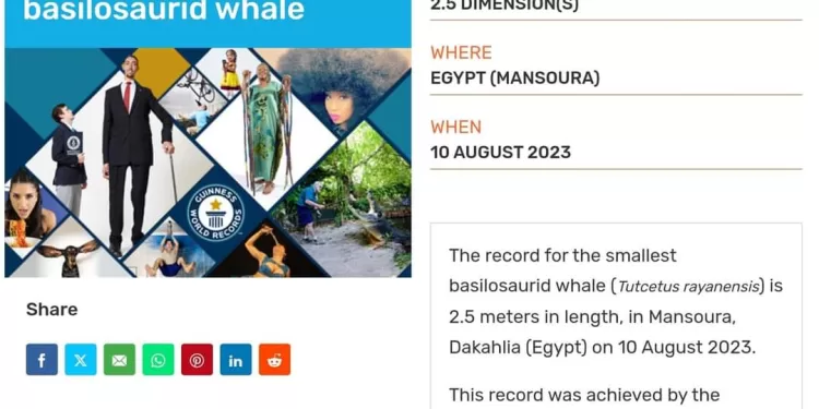 جولة تفقدية شاملة لمحافظ الدقهلية بمدينة المنصورة