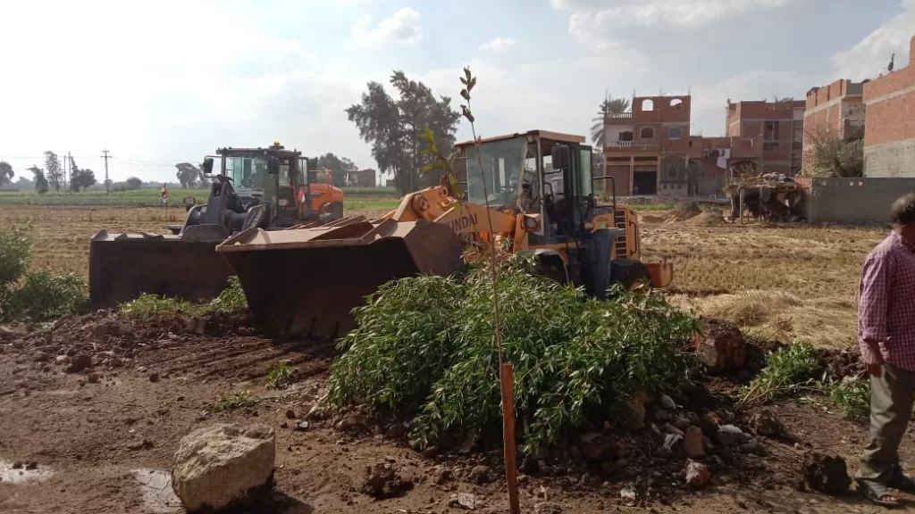 حملة إزالة واسعة النطاق تستهدف 65 حالة تعدٍ على الأراضي في الغربية 7 - جريدة الجمهورية WhatsApp Image 2024 10 20 at 7.59.38 PM 1 - جريدة الجمهورية